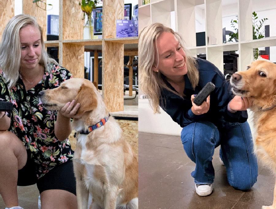 Vera versterkt ANTIGIF